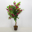Kunstpflanze Baum 1,16m hoch